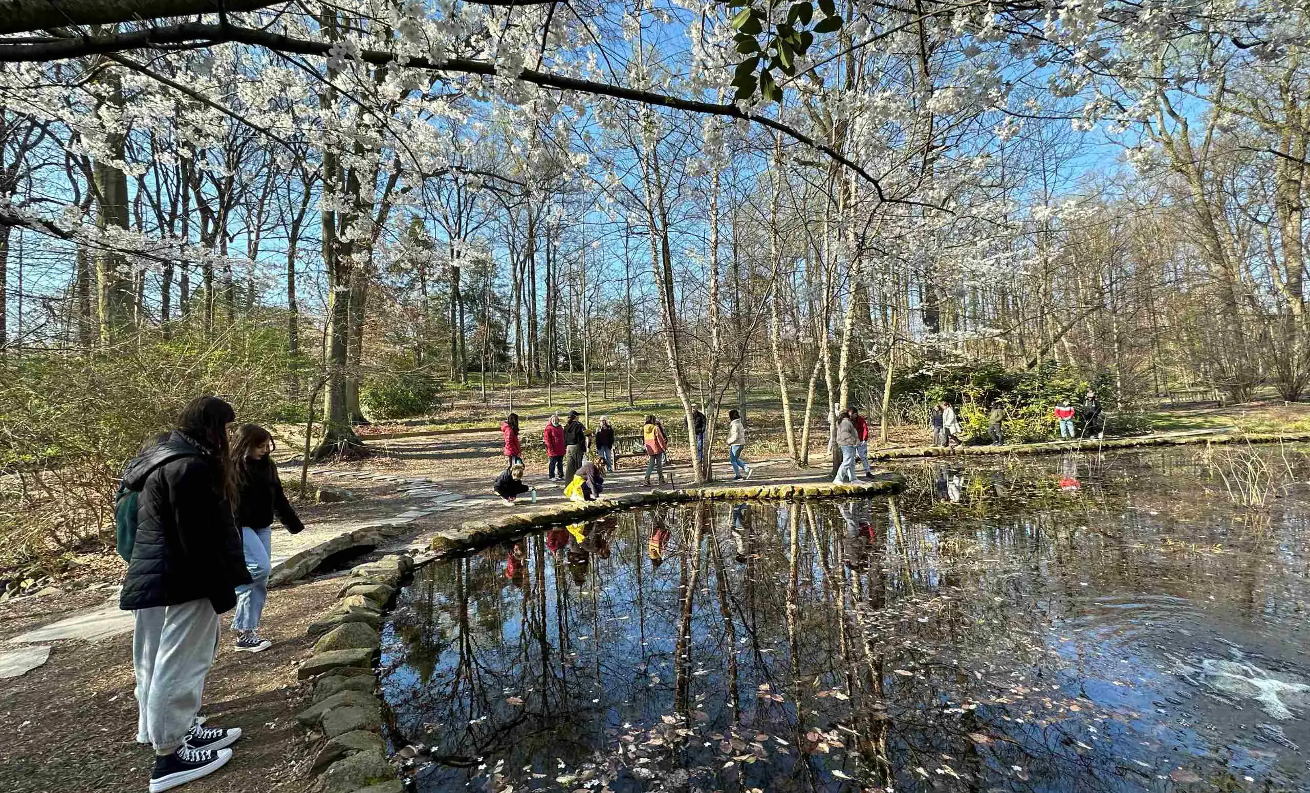 students cleaning up around a pond