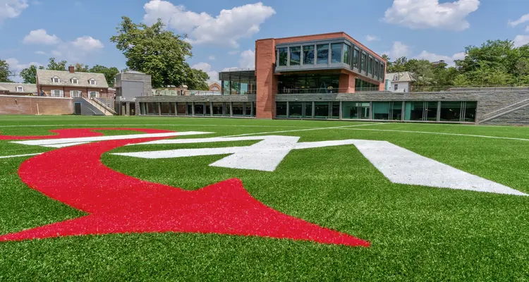 Image,field,lcb,le centre brown