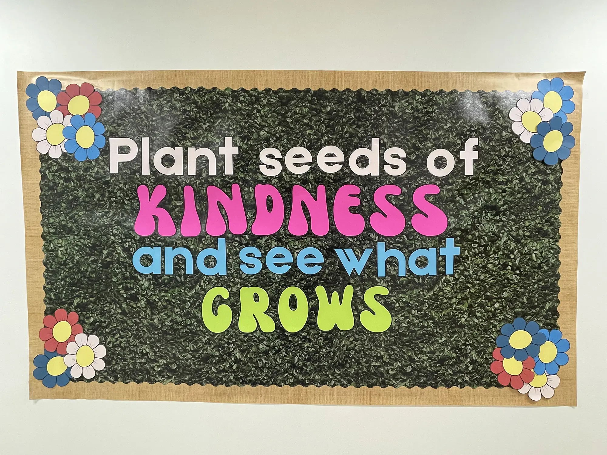 OptimizedImage,,,Optimized