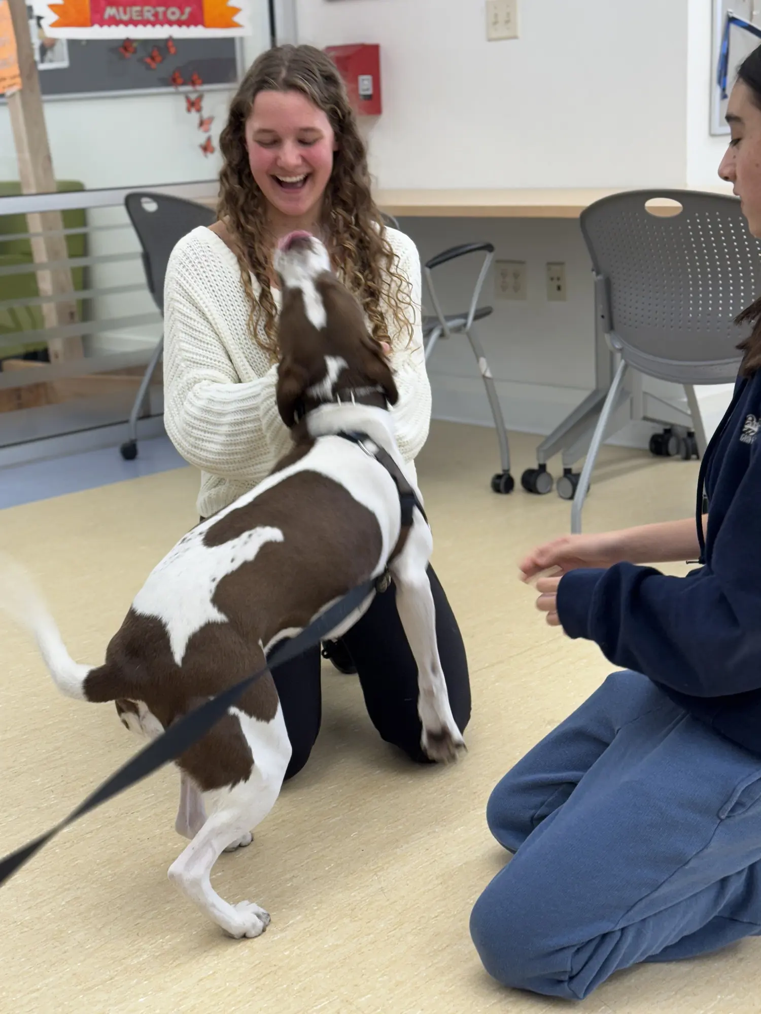 OptimizedImage,,,Optimized