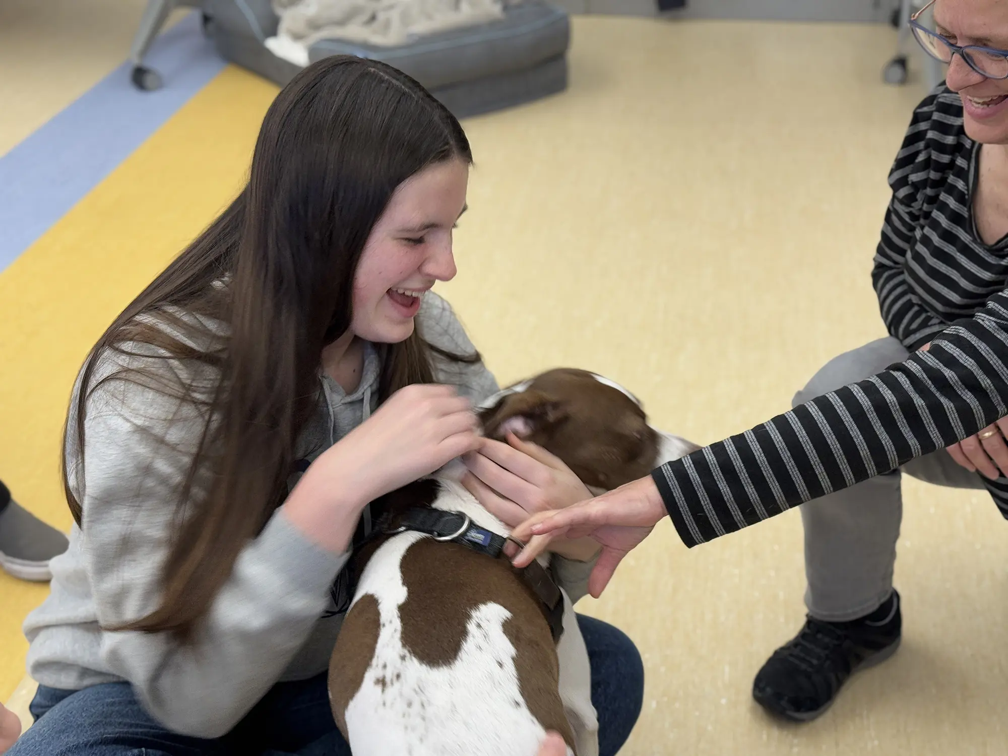  OptimizedImage,,,Optimized